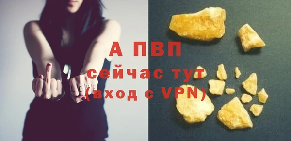 сатива Арсеньев