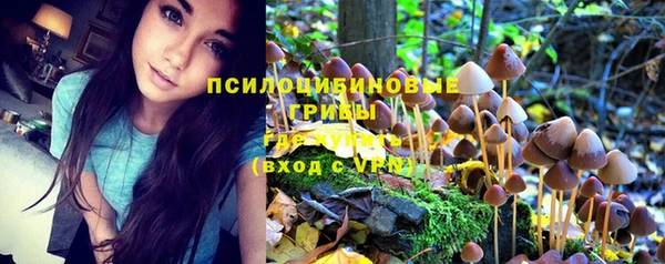 МДМА Армянск