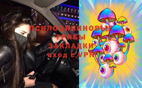 соль ск Приозерск