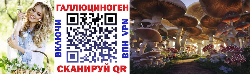 Псилоцибиновые грибы Cubensis  где купить наркотик  Белово 
